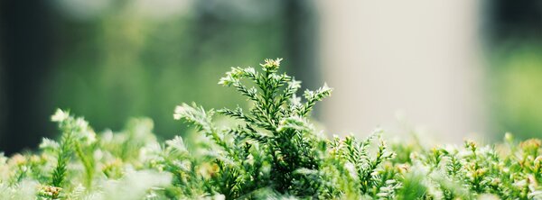 unsplash_fBwyKbLqXE8.jpg